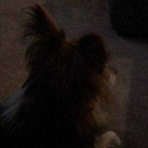 Meet your Posher, Sean